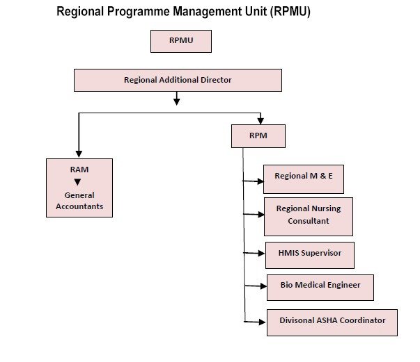 RPMU Organogram